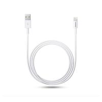 iPhone 5